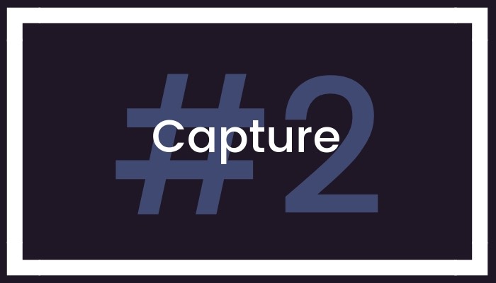 #2 Capture