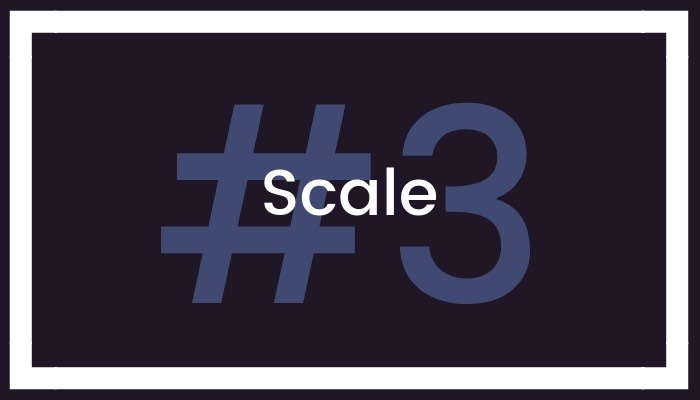 #3 Scale