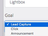 Select Lead Capture
