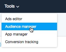 Click Audience manager